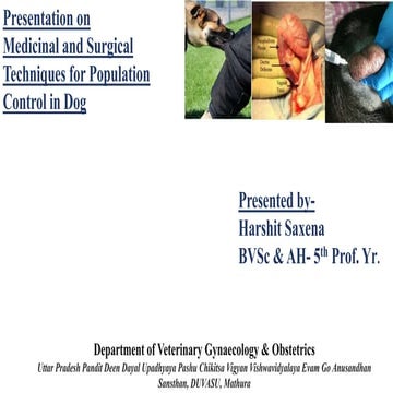 Medicinal & Surgical Techniques of Population control in dogs | PPTX