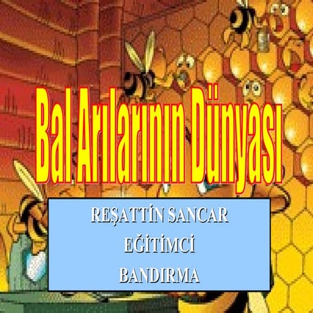 23 bal arılarının dünyası (çocuklar için)