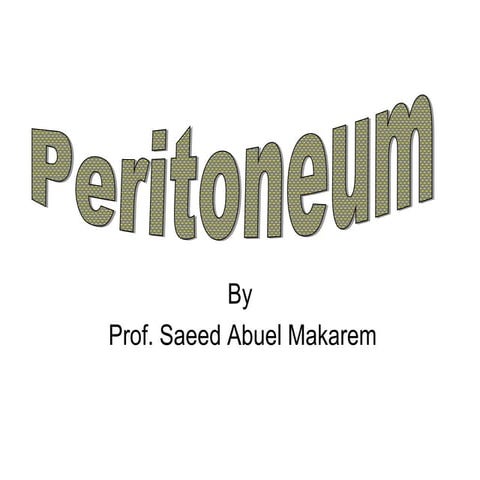 23 peritoneum