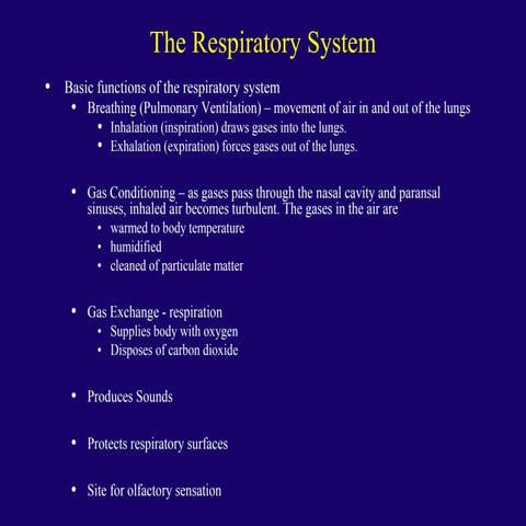 2304 respiratory