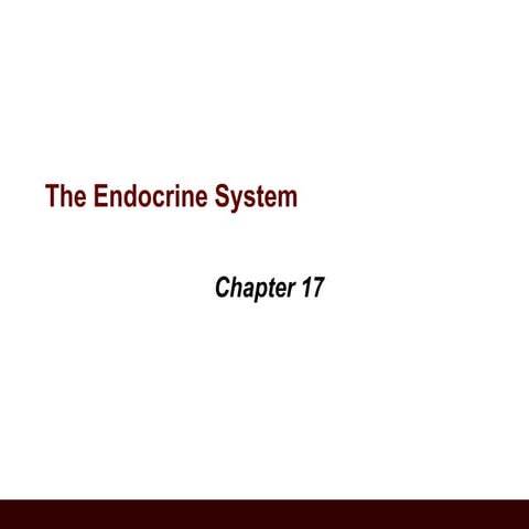 Physiology of Endocrine System | PPTX