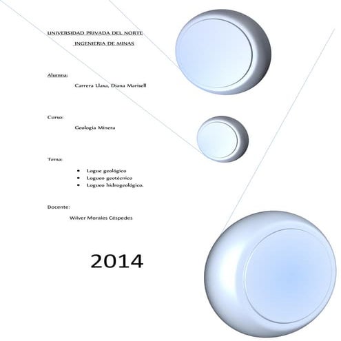 231512383 logueo-geologico