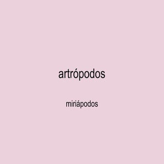 artropodos