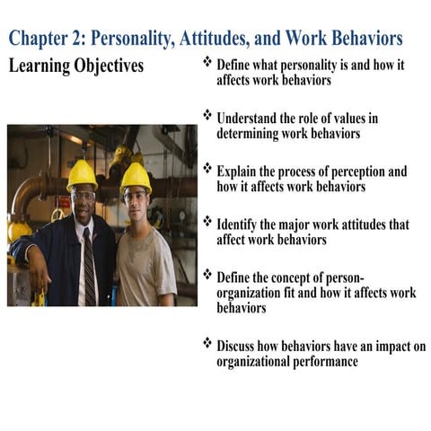 personality, attitude and work behaviour