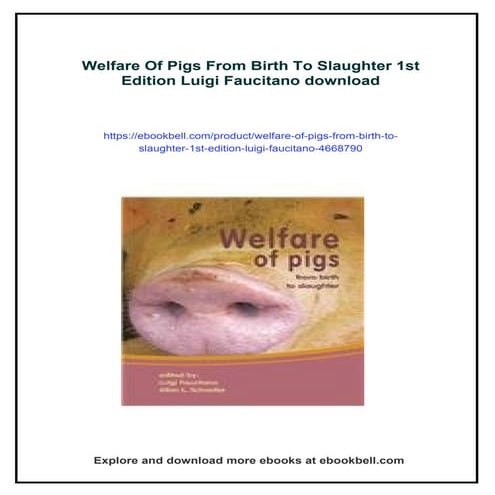 Welfare Of Pigs From Birth To Slaughter 1st Edition Luigi Faucitano