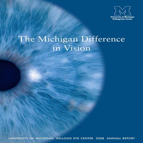 Michigan Difference in Vision | PDF