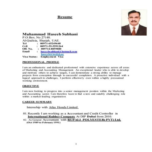 haseeb cv as accountant