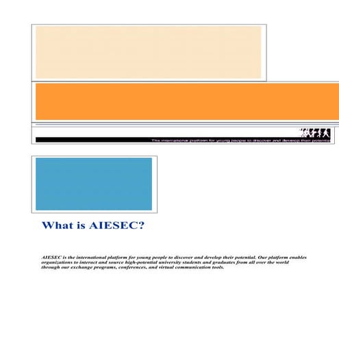 What is AIESEC - Product sheet