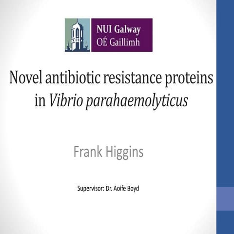 Novel antibiotic resistance proteins presentation