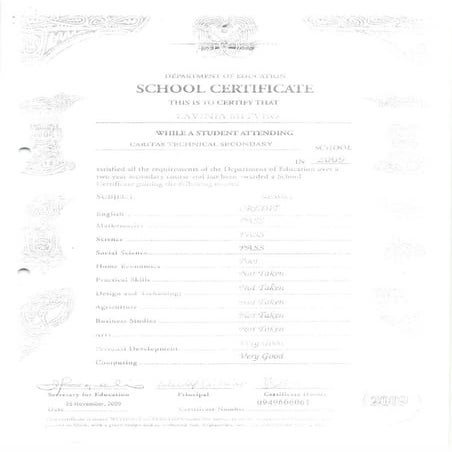 Lavinia Mitveo_Certificates
