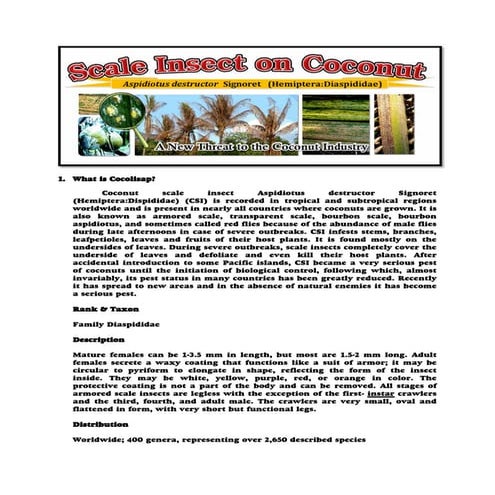 236784980 what-is-cocolisap