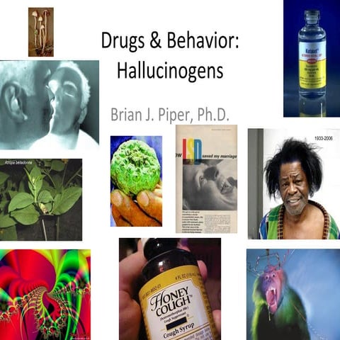 Neuropharmacology: Hallucinogens