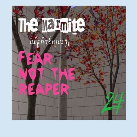 The Marmite alphabetacy 24