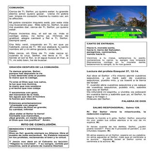 GUIÓN DE LA MISA DEL DOMINGO 5º DE ...