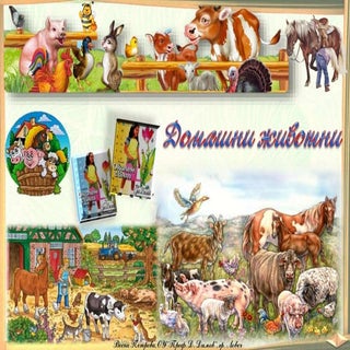 24. Домашни животни - ОС, Анубис - ...