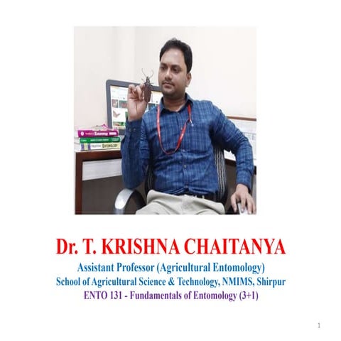 Offense and defense behavior in insects