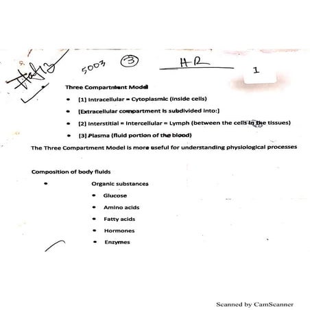 Humanor not? visual data 4