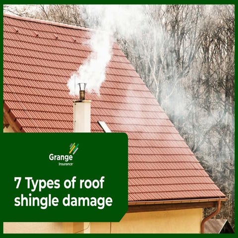 How to Identify 7 Types of Roof Shingle Damage