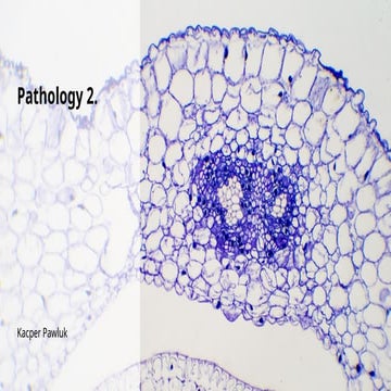 Pathology of veterinary medicine in animals | PPTX