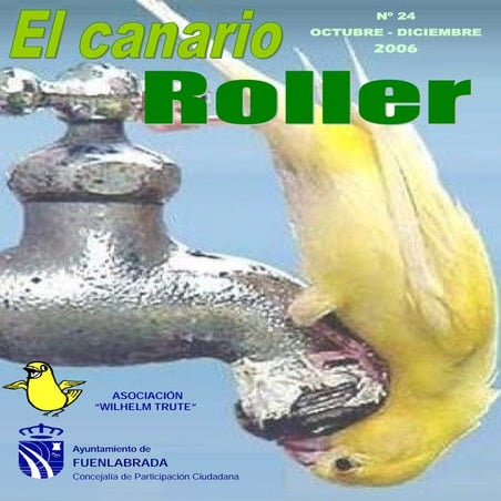 24. el canario roller