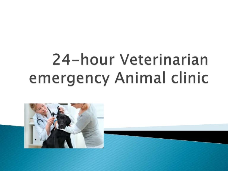 24 hour veterinarian emergency animal clinic