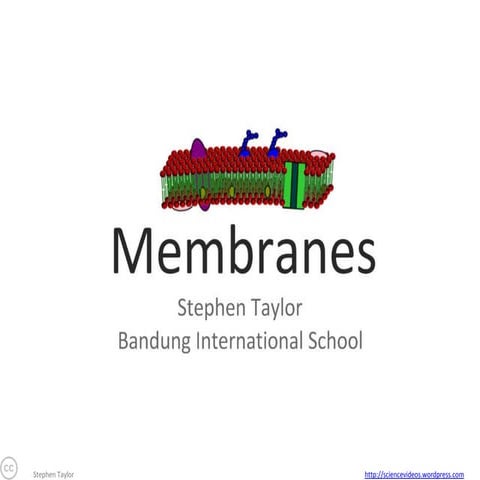 24 membranes-1224991827782369-8 (2)