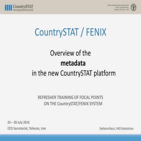 Overview of the metadata in the new CountrySTAT platform
