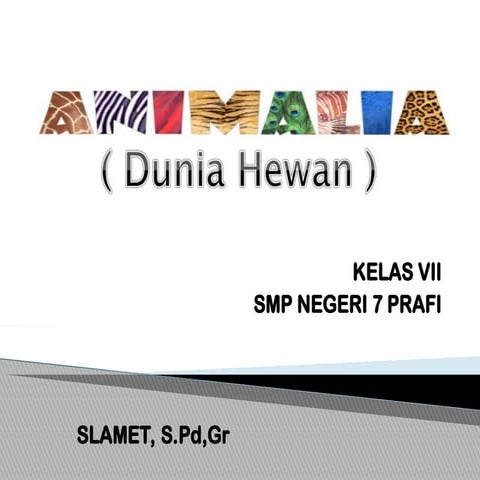 240916905-Power-Point-Kingdom-Animalia-Materi-Biologi-Kelas-X.ppt