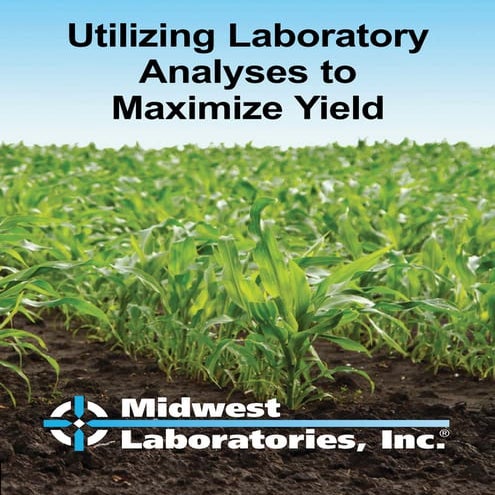 Pre-Sidedress Nitrate Test | PDF
