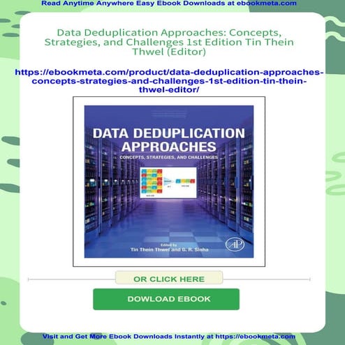 Data Deduplication Approaches: Concepts, Strategies, and Challenges 1st Editi...