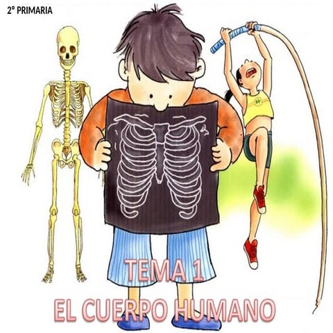 NUESTRO CUERPO | PDF
