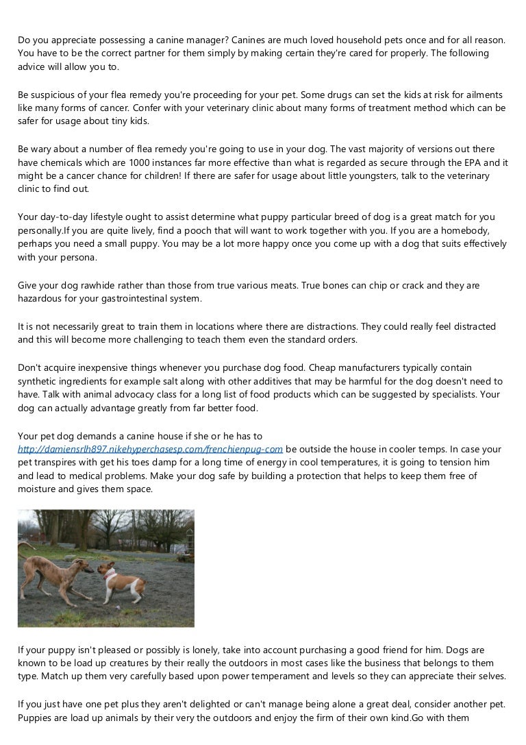 inexpensive veterinarians in my area