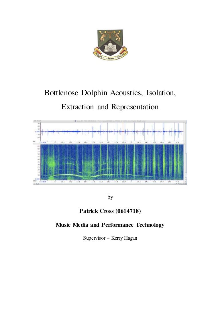 Dissertation bsc