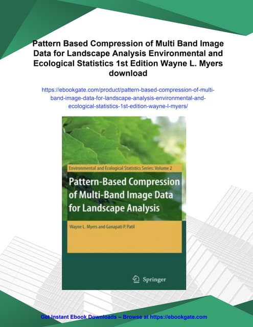 Pattern Based Compression of Multi Band Image Data for Landscape Analysis Env...