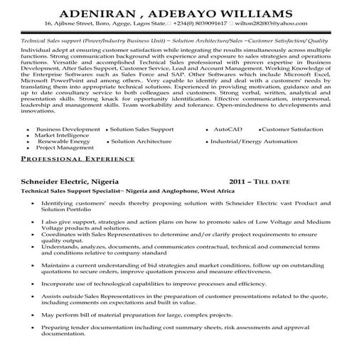 Adebayo Adeniran CV
