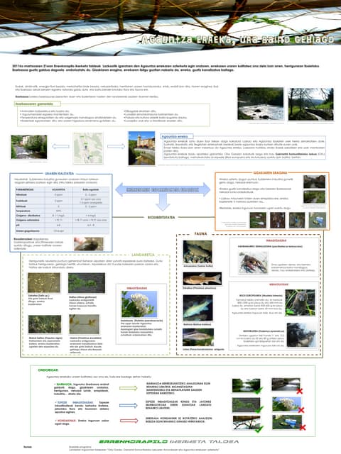 Greetings | PDF