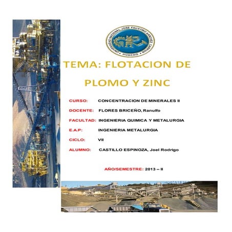 245197868 flotacion-de-plomo-y-zinc