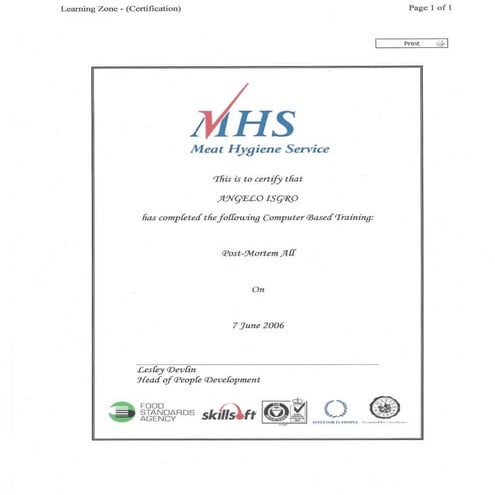 CV angelo isgro 1 | DOCX