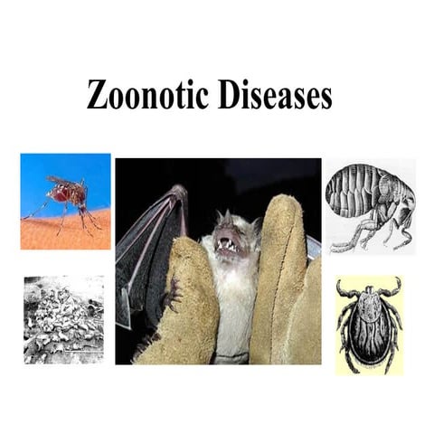 247722148-Zoonotic-Disesddfggjjdeadghhfgwwrase.pptx