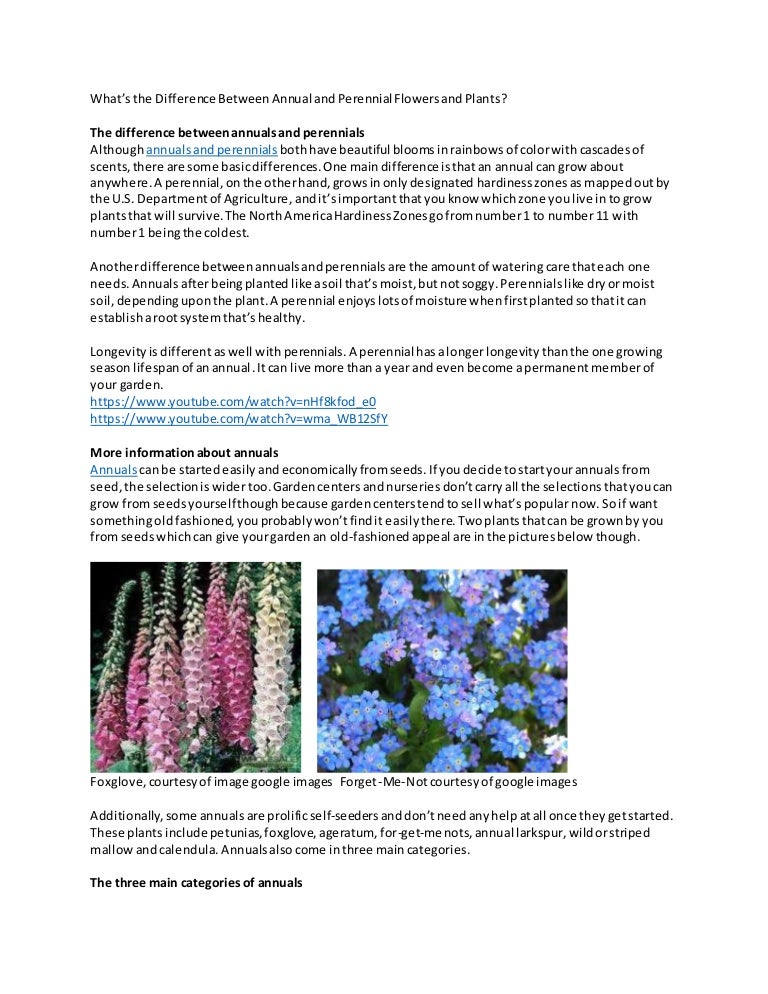 What is the difference between annuals and perennials11042016xyz
