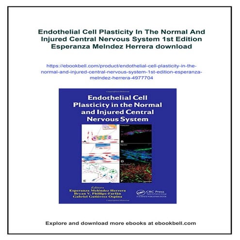 Endothelial Cell Plasticity In The Normal And Injured Central Nervous ...