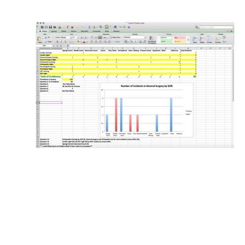 Screen Shot of Excel Project