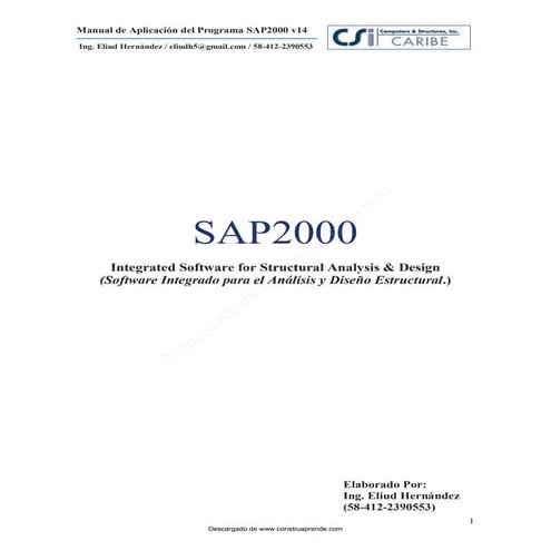 MANUAL SAP 2000 2010 | PDF