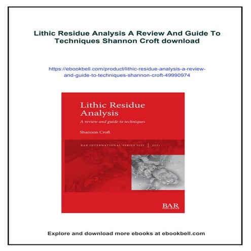 Lithic Residue Analysis A Review And Guide To Techniques Shannon Croft ...