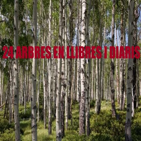 24 arbres en llibres i diaris