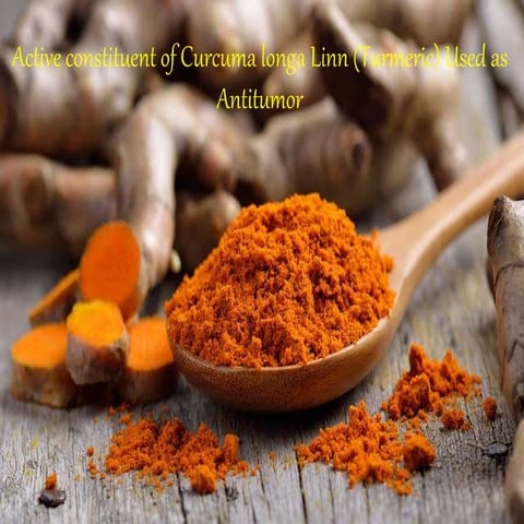 Curcuma longa, HALDI(HERBAL TREATMENT/ HERBAL MEDICINE)