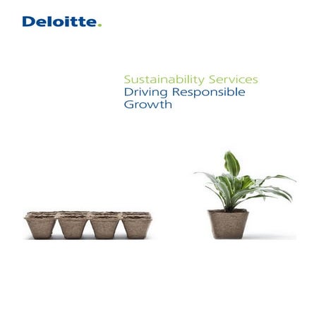 Deloitte Sustainability Services