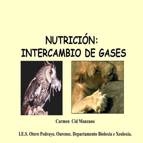 24  intercambio gases