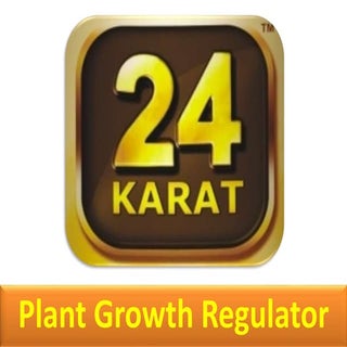 24 karat presentation (PGR)
