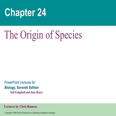 24 lectures ppt | PPT